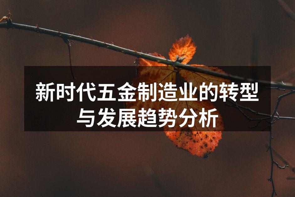 新时代五金制造业的转型与发展趋势分析